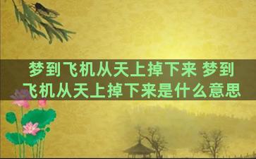 梦到飞机从天上掉下来 梦到飞机从天上掉下来是什么意思